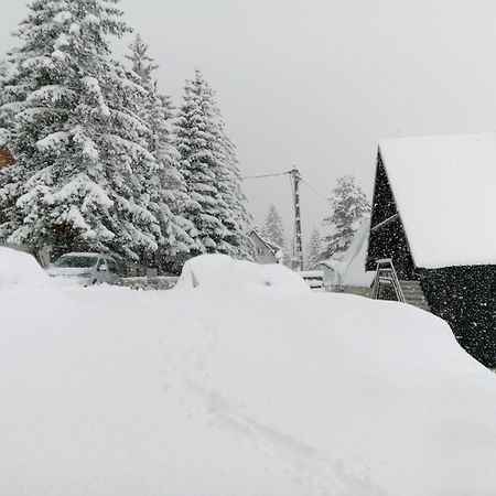 Durmitor Apartment Zabljak  Exterior photo