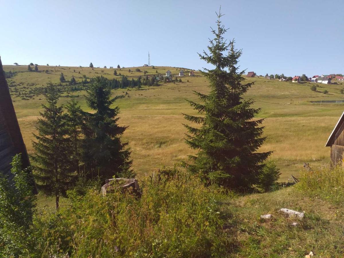 Durmitor Apartment Zabljak  Exterior photo
